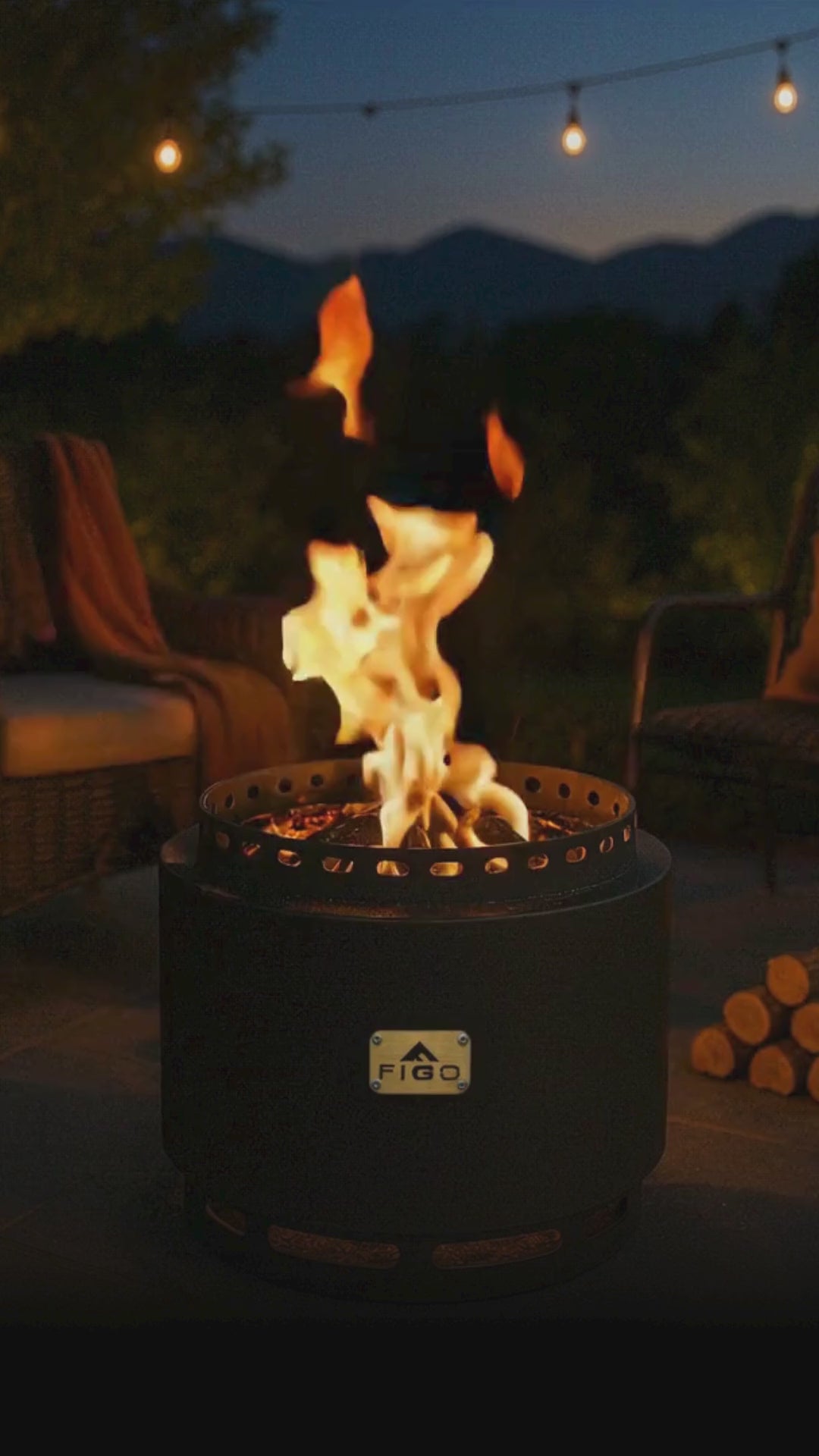 Cast Iron Smokeless Firepit